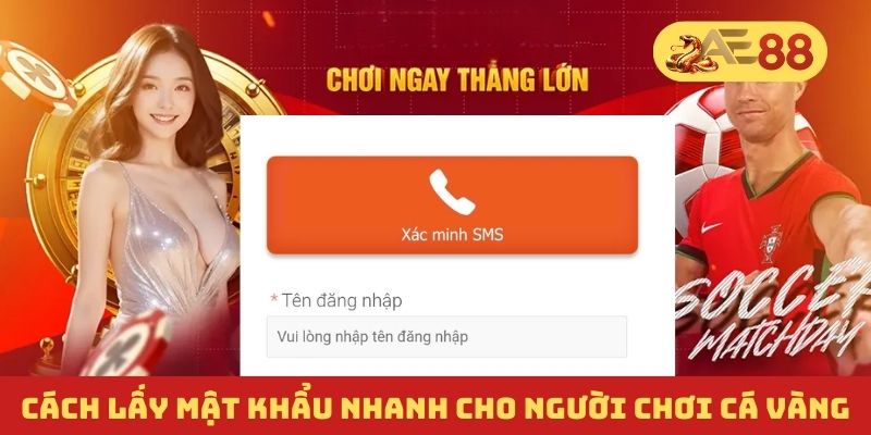 Cách lấy mật khẩu nhanh cho người chơi “cá vàng” Cách lấy mật khẩu nhanh cho người chơi “cá vàng”